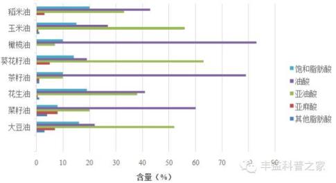 低油脂营养健康的食物,食用营养丰富易消化低油脂的食物