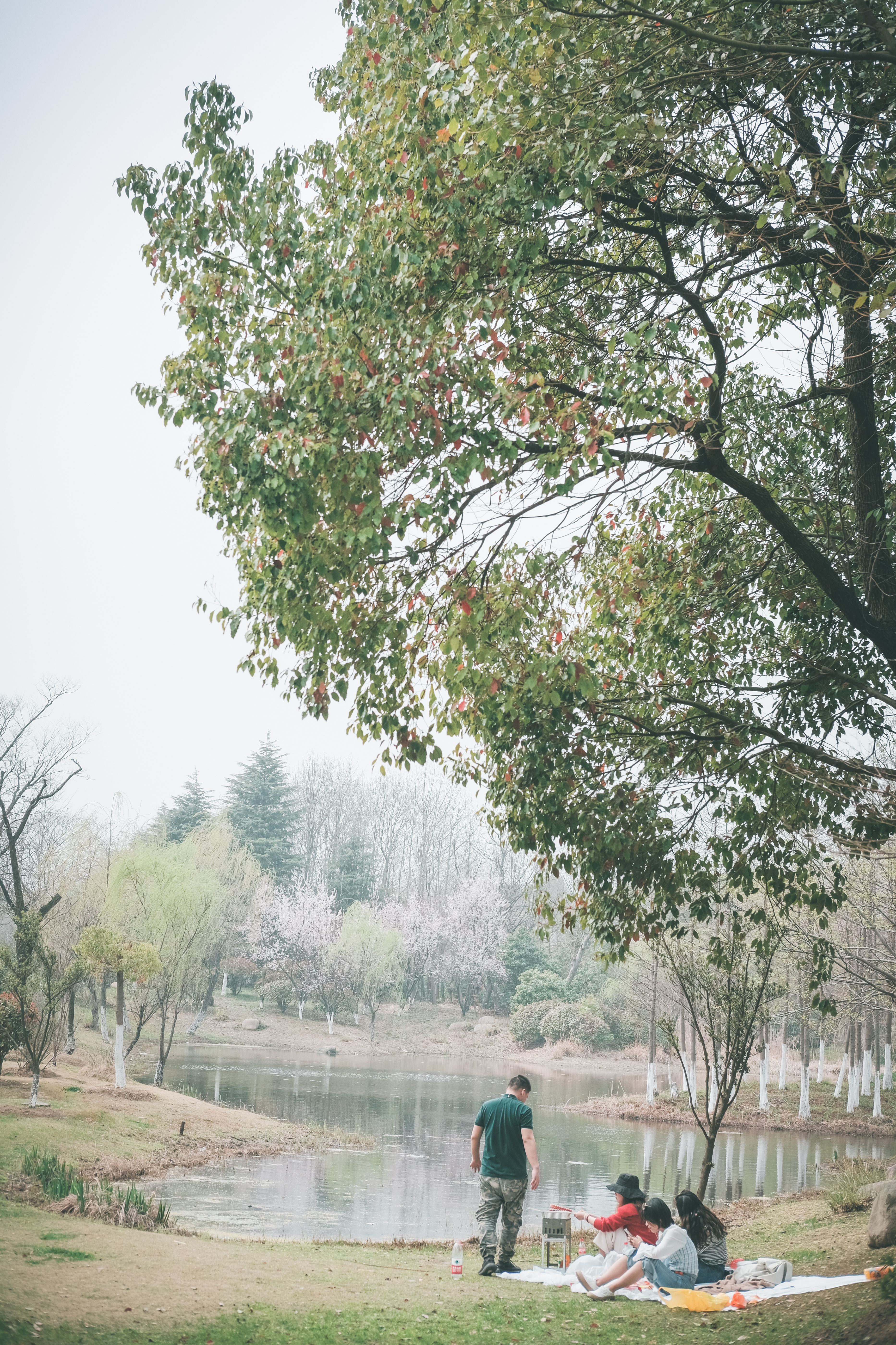 无锡踏青挖野菜好去处,无锡哪里可以挖得到野生的荠菜