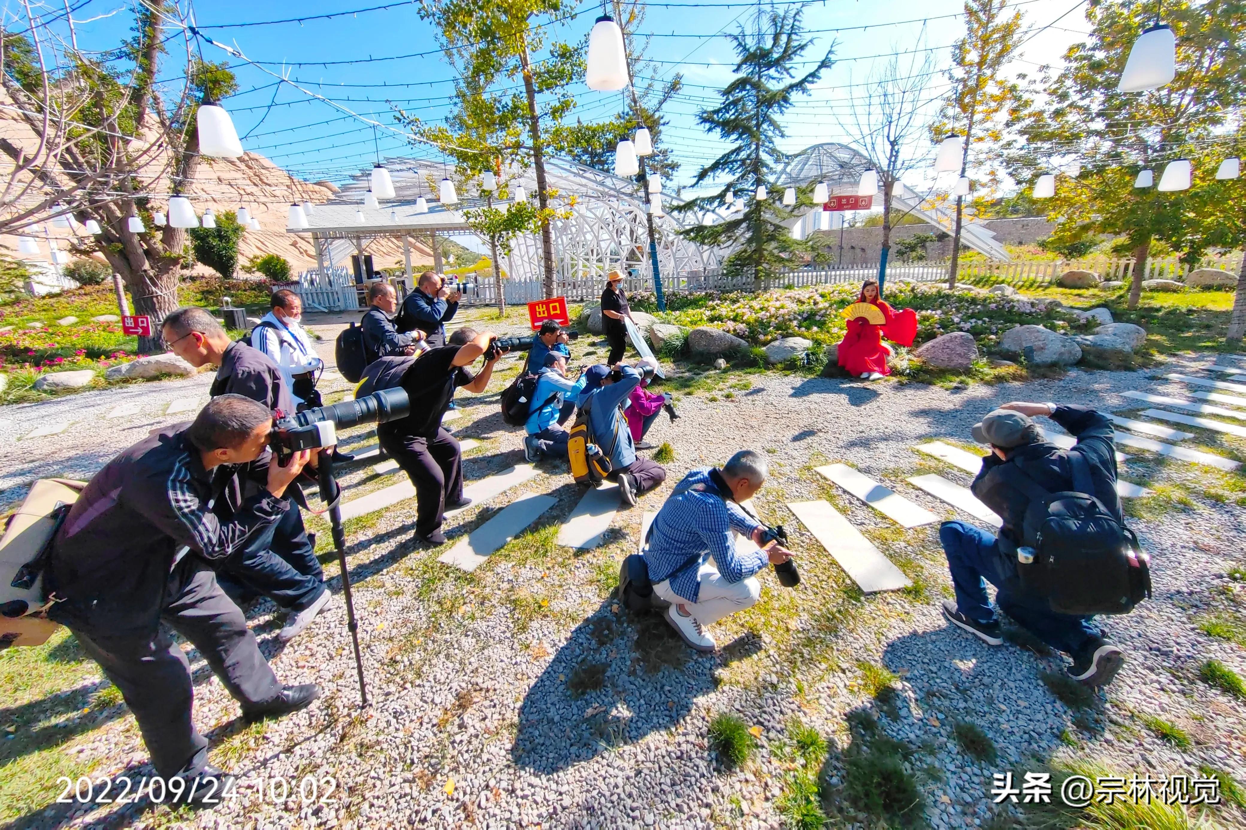 蓝天白云花海摄影高清图,蓝天白云花田滤镜搭配