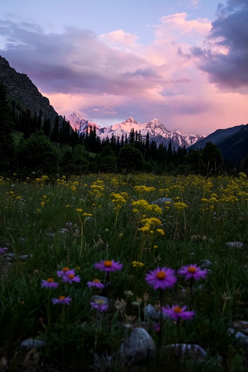佳能eosr6markii自定义教程,eosr6markii直播设置