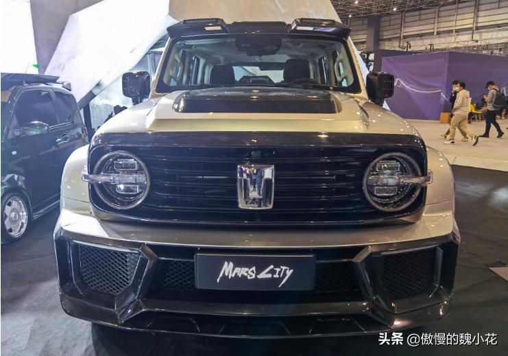 坦克300推出全新运动套件！换装树叶LOGO，官方售价1.98万