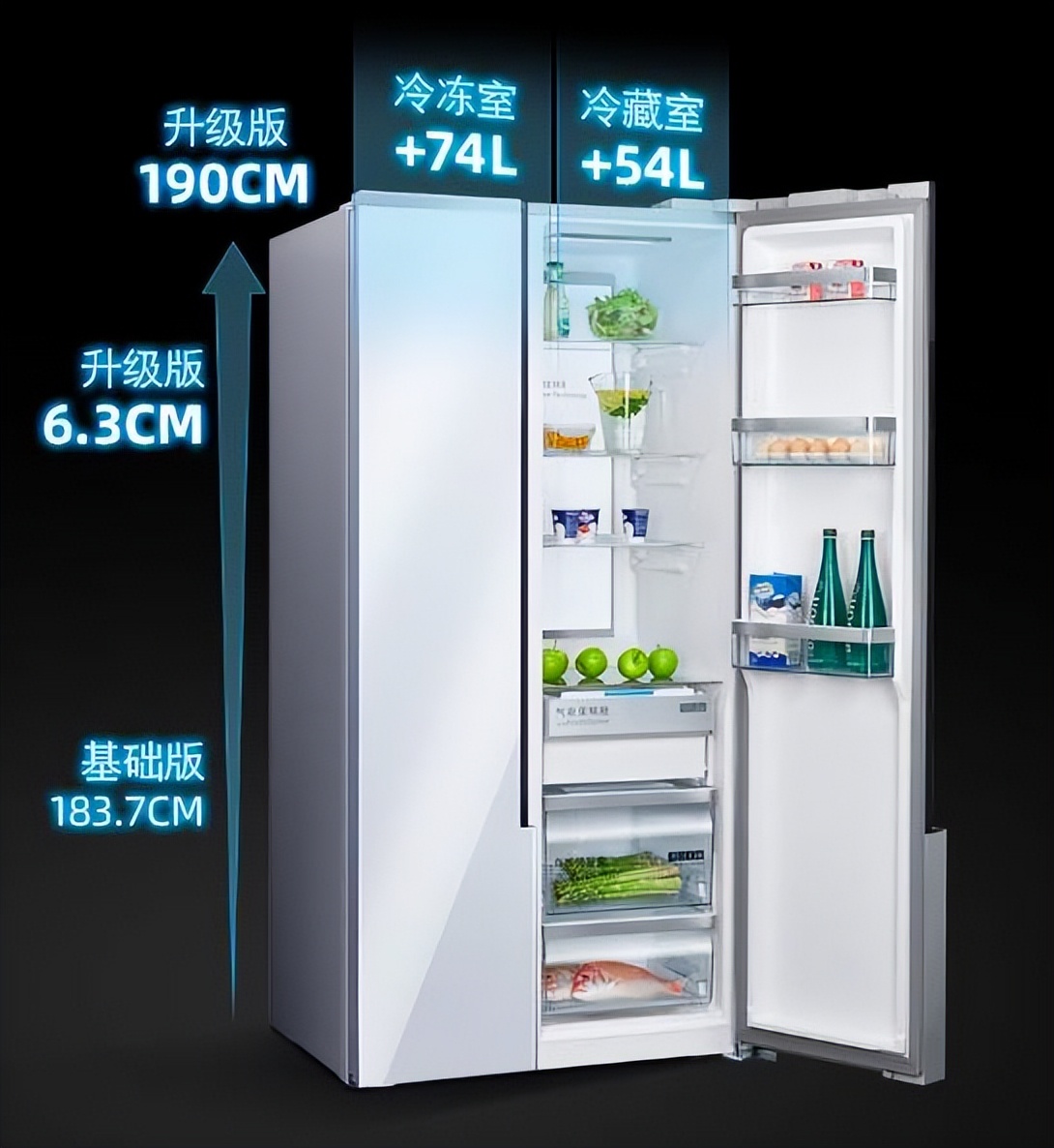 冷冻室容量最大是哪款冰箱,推荐几种冷冻大于冷藏的冰箱