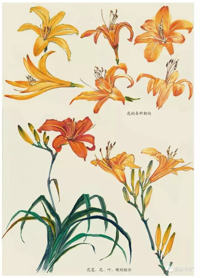 写意丁香花画法,写意鸡冠花的画法教程