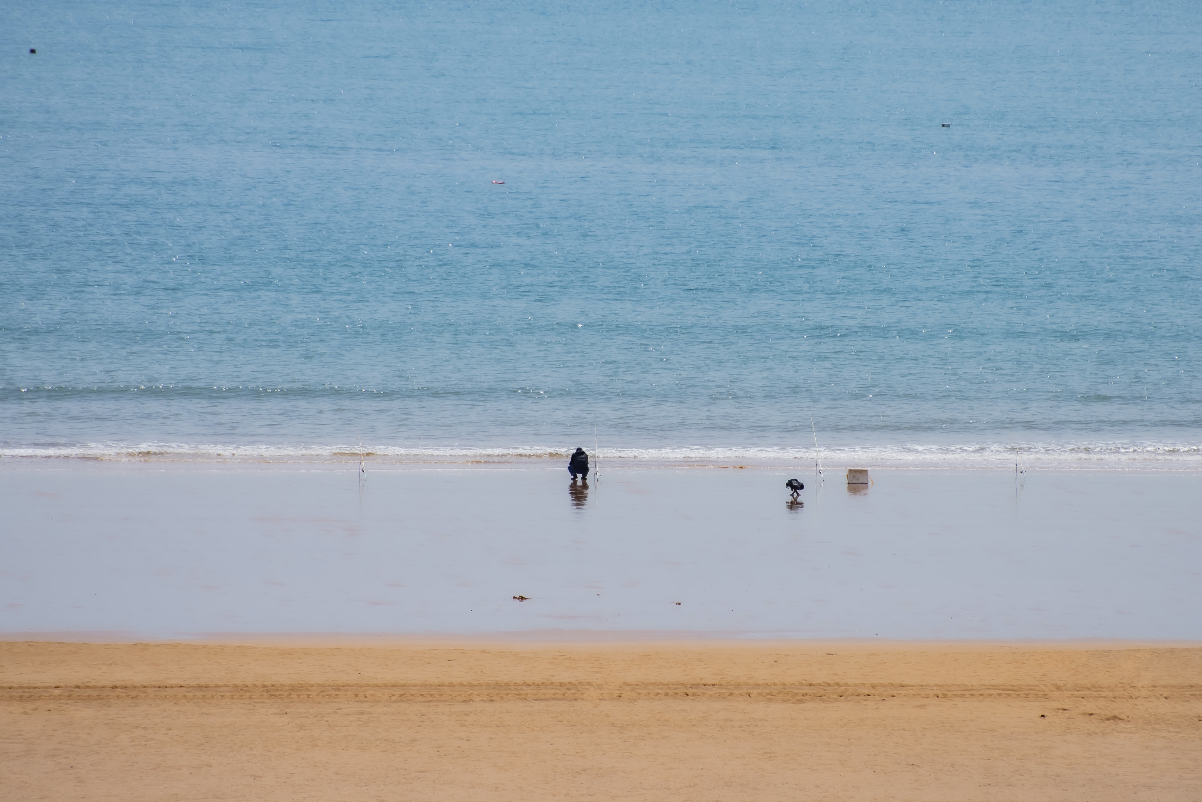 尼康d750和尼康d810和尼康d610,尼康d610缺点在哪里