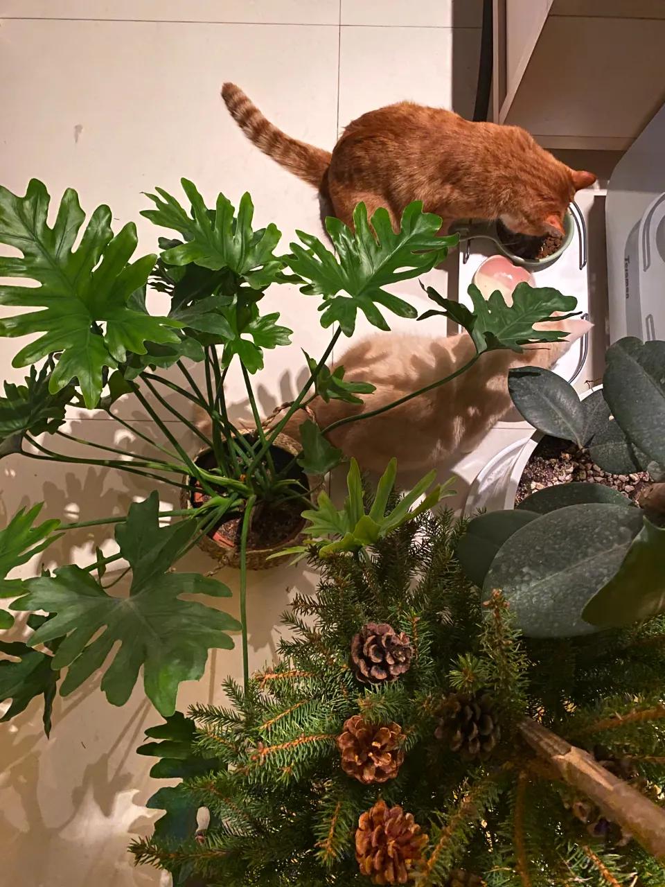 2021年今年的钱好挣吗,2021年钱更难赚吗