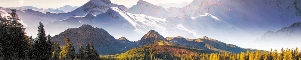 哪些数字开头的电话号码不能接听,哪几位数字开头的电话不能接