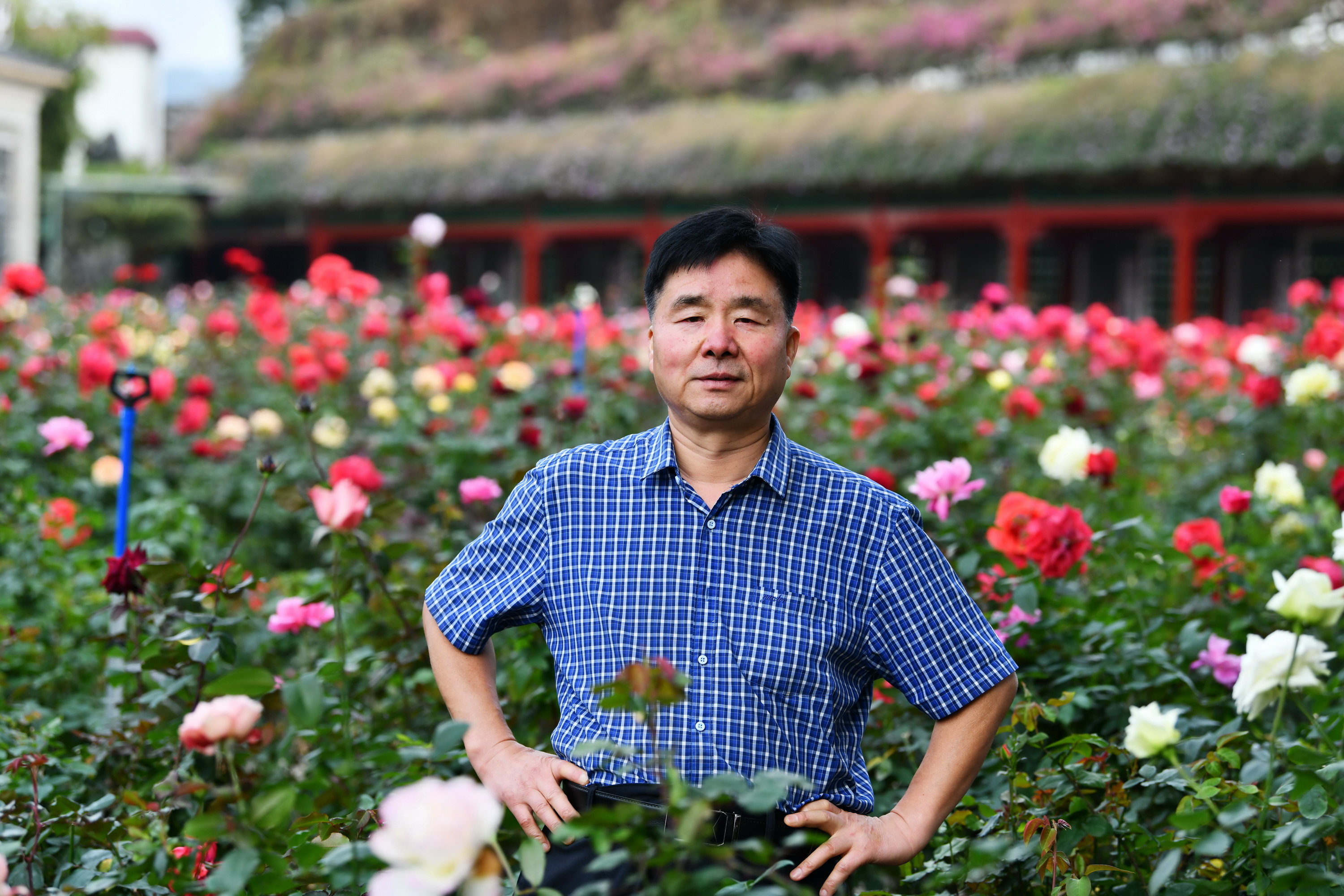 广州市番禺区宝墨园攻略,广州宝墨园景观