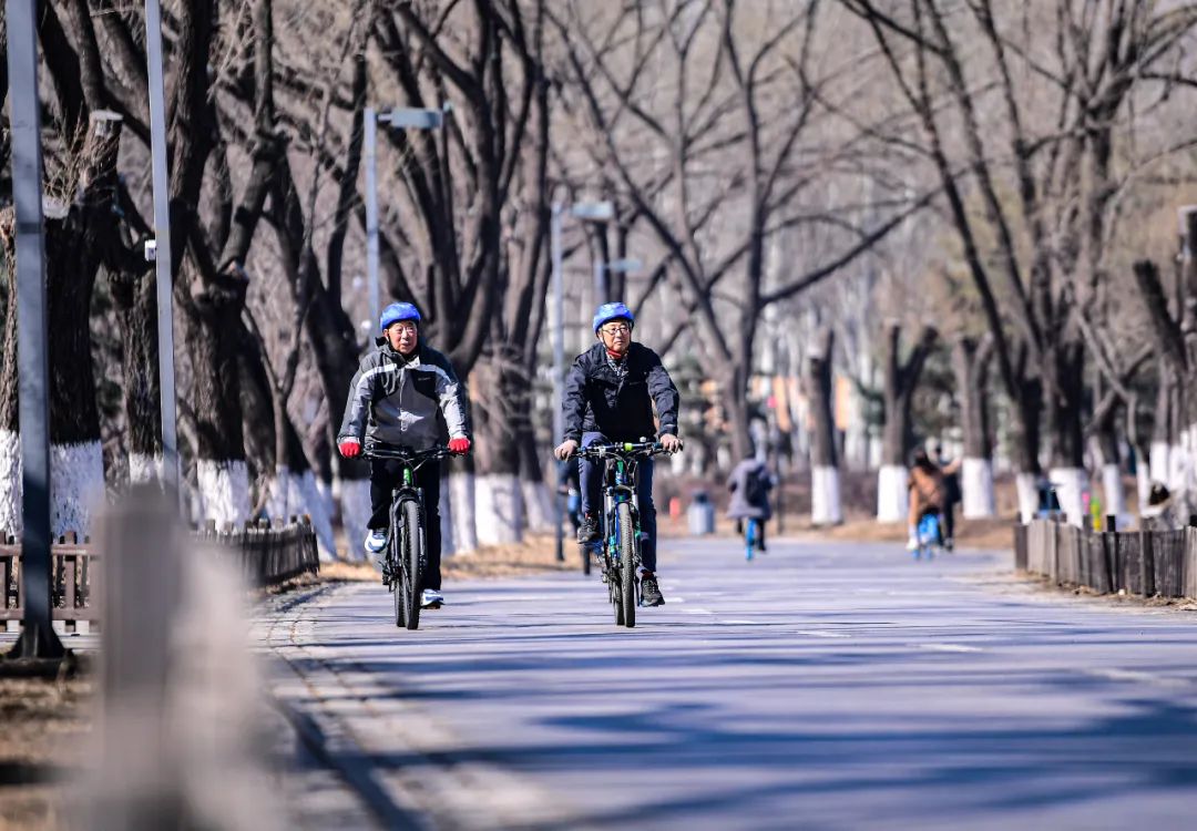 沈阳湿地公园丹顶鹤放飞,沈阳最近郊游最佳地点