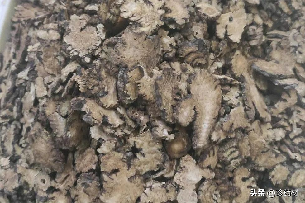 10月13日中药材市场快讯：川芎、猪苓、白前、木蝴蝶、肉桂、麦冬