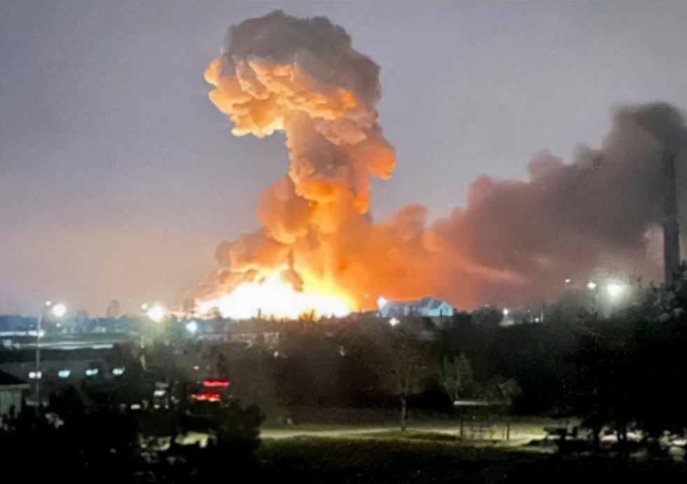 俄罗斯猫被制裁猫的反应,俄罗斯人对猫被制裁的看法