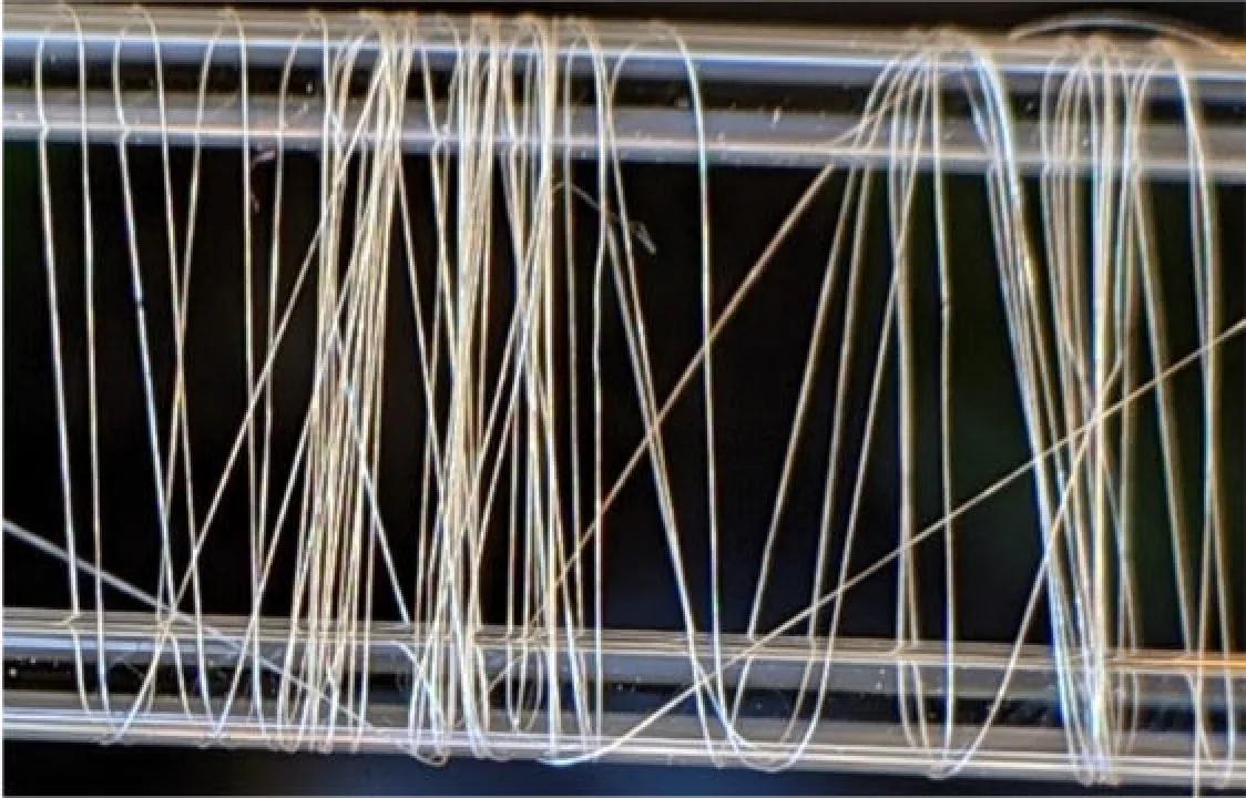 蜘蛛丝的韧性和结实度,蜘蛛丝真实性能