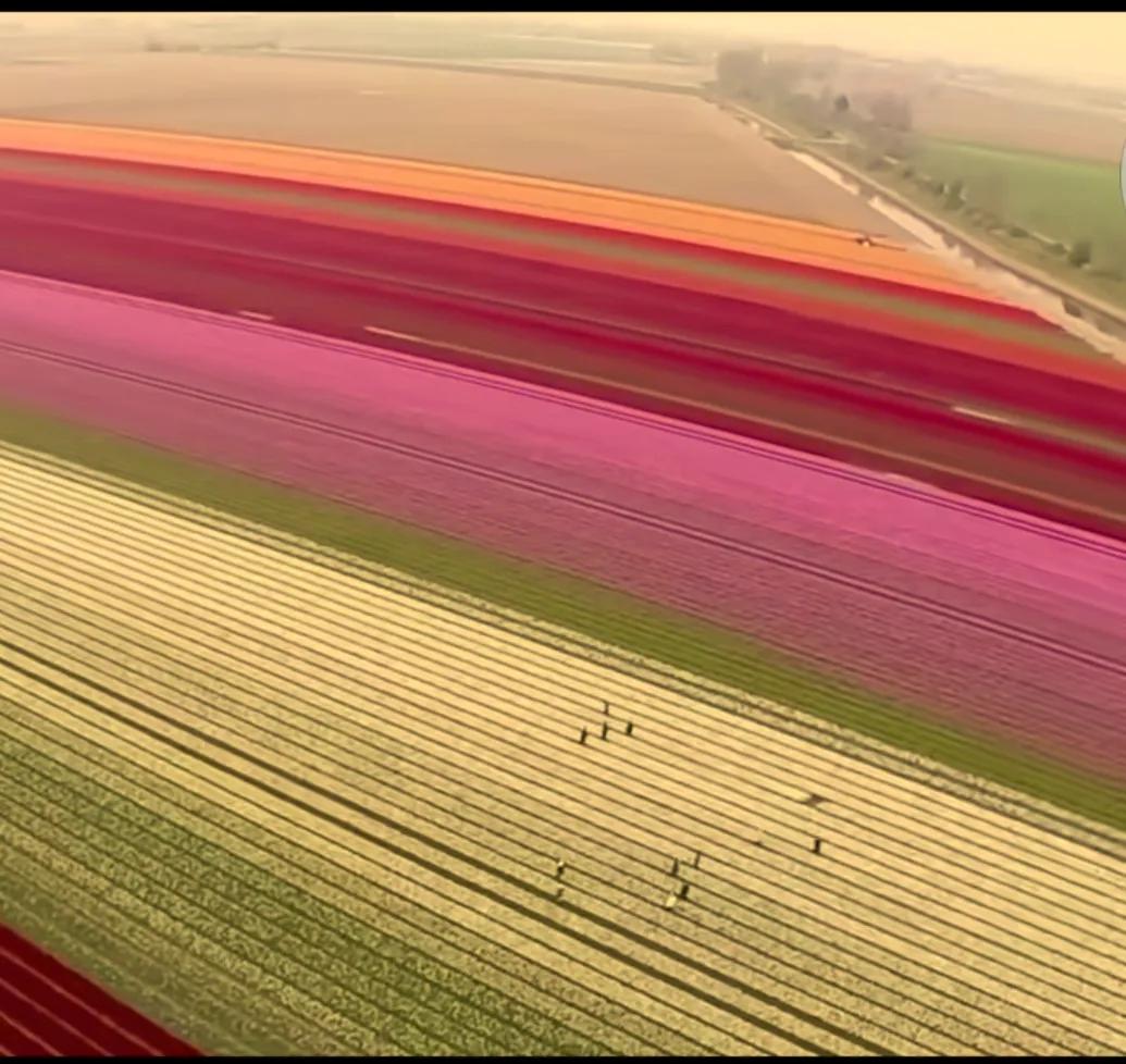 拍卖的创意茶壶,荷兰式拍卖钟