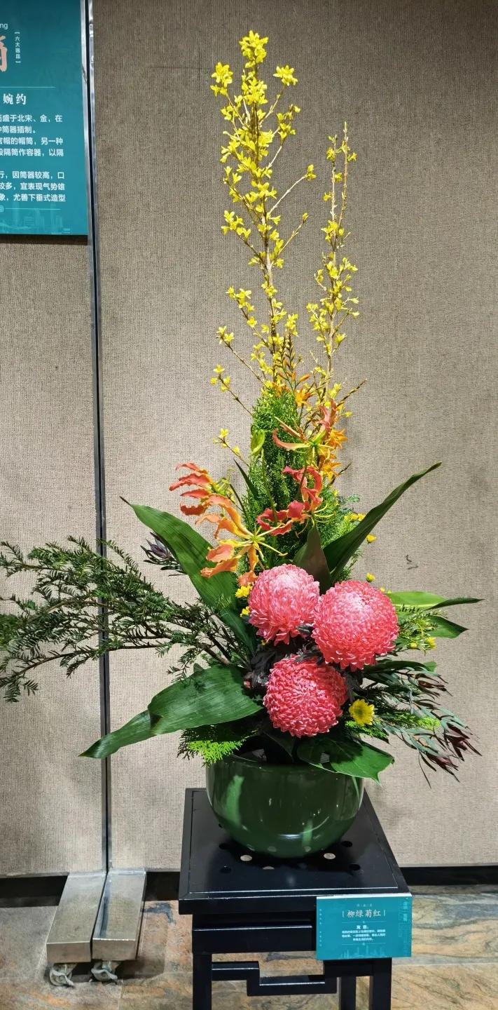 66万盆菊花东湖公园菊花展,东湖公园菊花展有哪些菊花