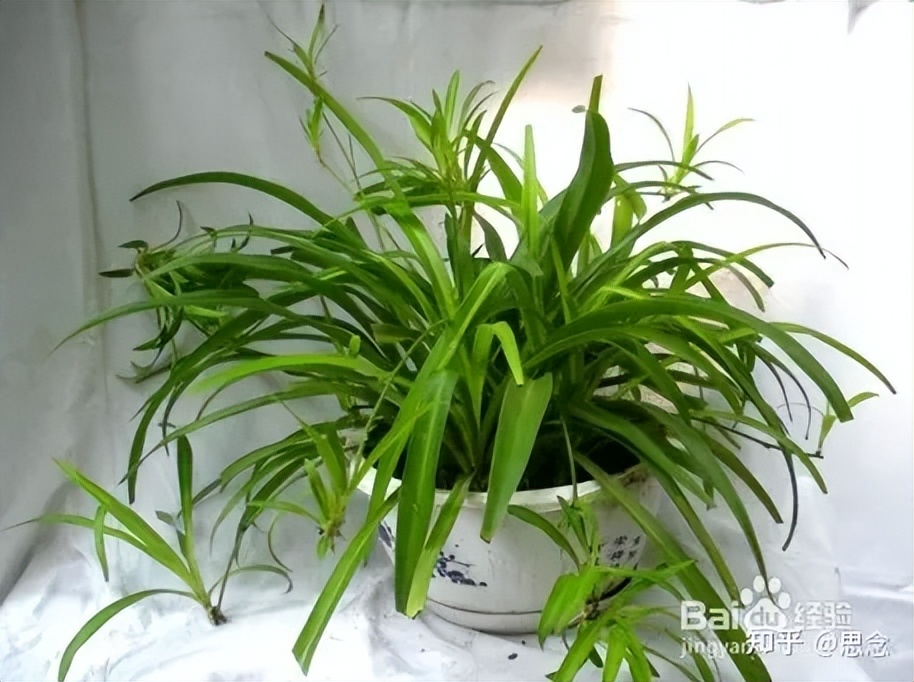 新房装修除甲醛最好最快的方法,新床怎么除甲醛最快最有效的方法