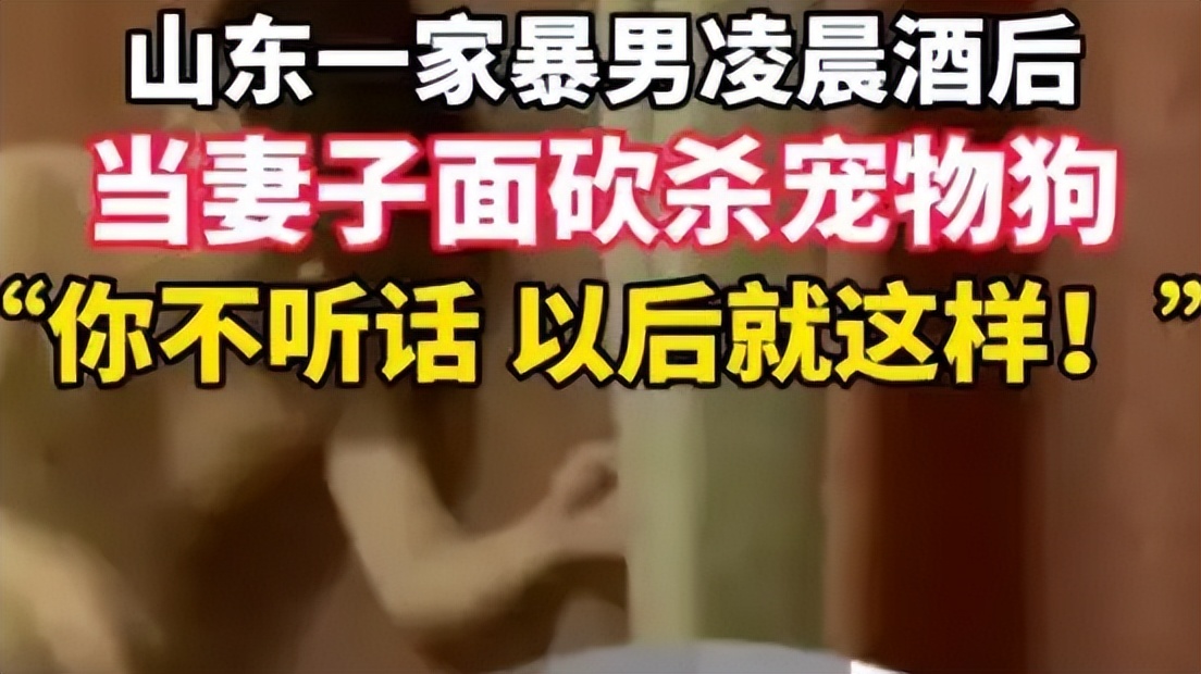 砍杀狗事件处罚,家暴杀狗事件