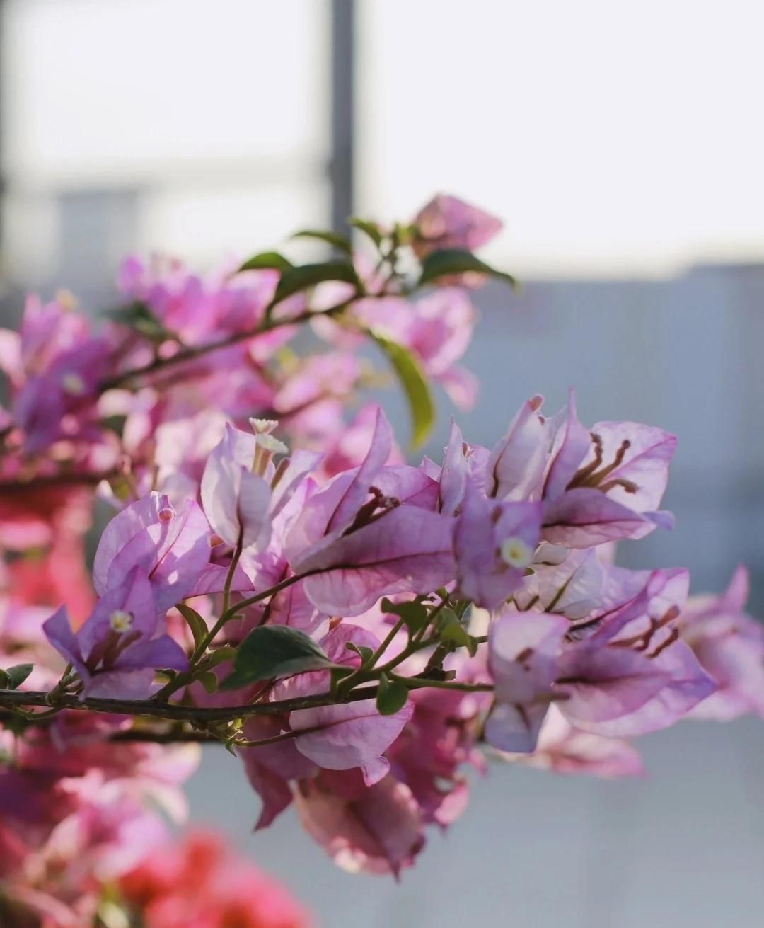 这10首诗词胜过你今年读过的鸡汤,五千年来最有哲理12句诗词太经典