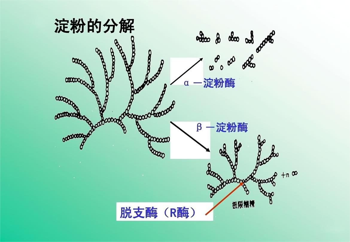 日本上完厕所的纸能丢进马桶吗,日本厕纸应该冲走还是放纸篓