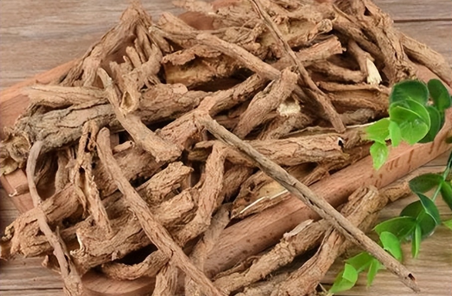 地骨皮这味中药有什么功效,地骨皮特效单方验方