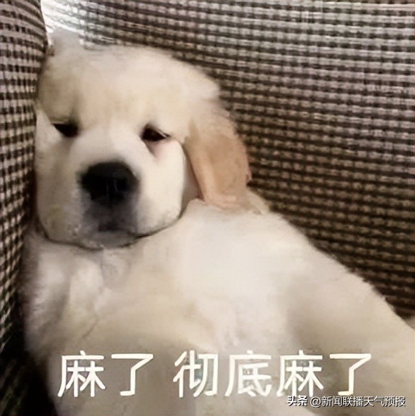 冰雹等极端天气如何防范,极端天气狂风暴雨冰雹龙卷风齐下