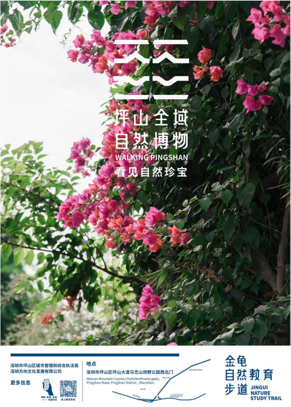 坪山金龟生态艺术小镇,坪山全域自然博物步道