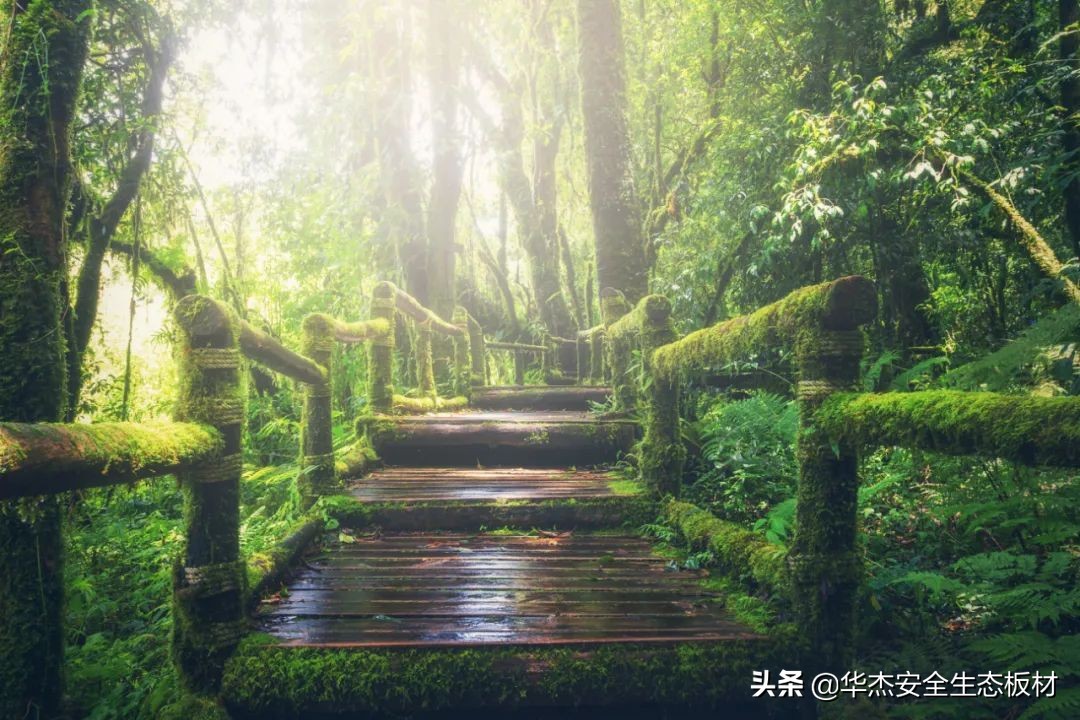 华杰轻氧系列,华杰轻氧系列效果图