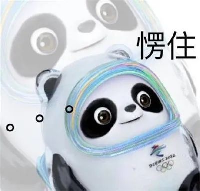 骗子盯上冰墩墩,冰墩墩被骗20万