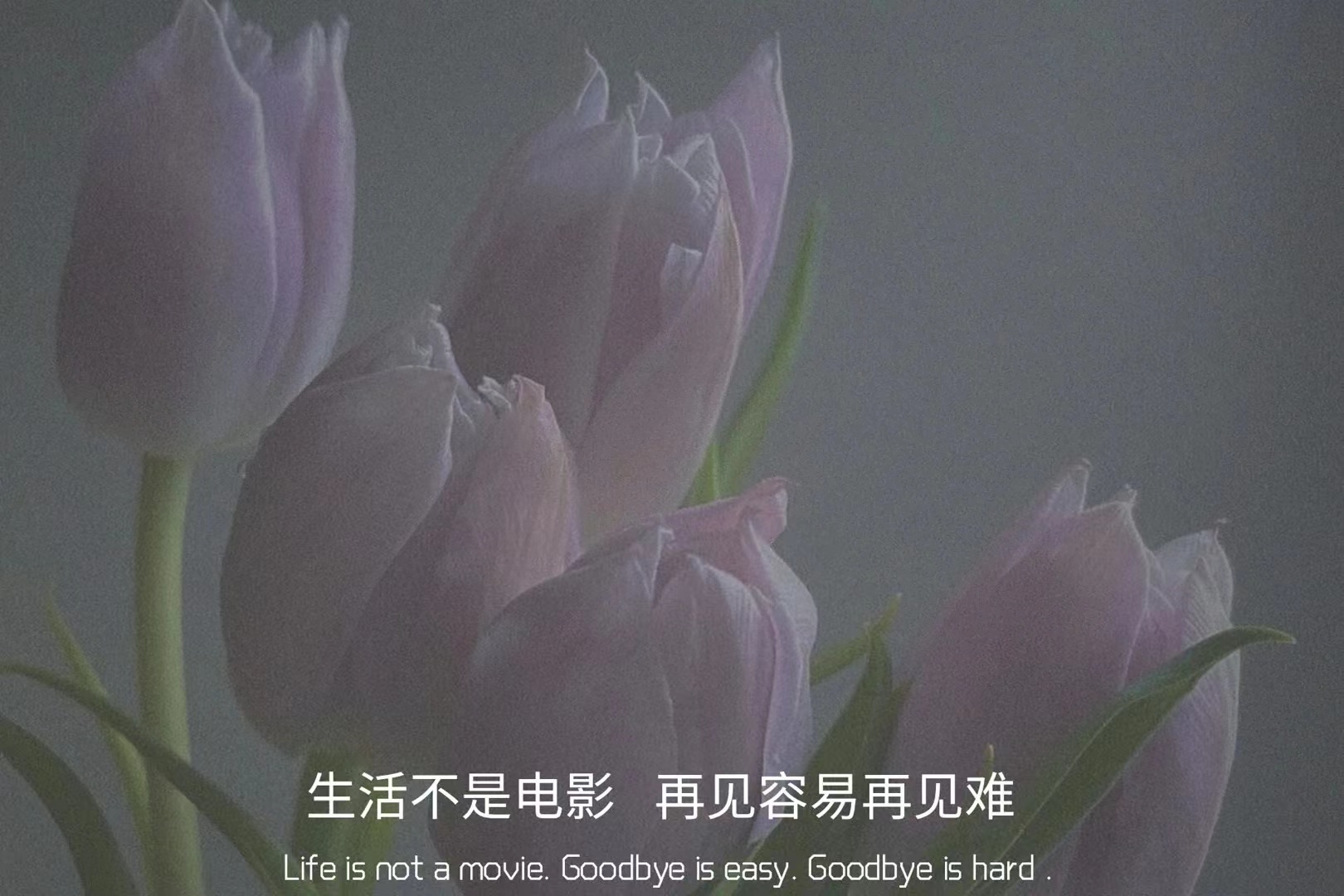 微信置顶语励志文案,微信置顶的神仙文案