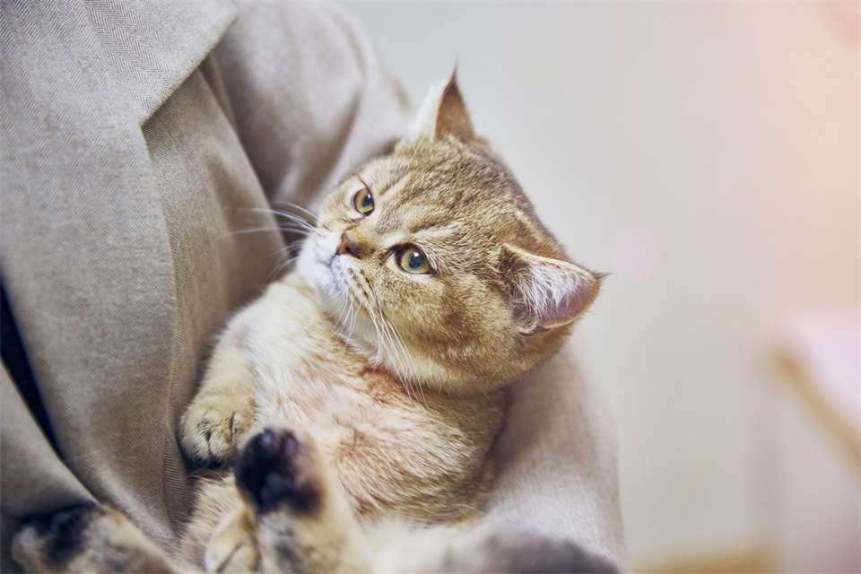 单位同事和领导关系怎么处理,如果同事和领导关系好如何处理