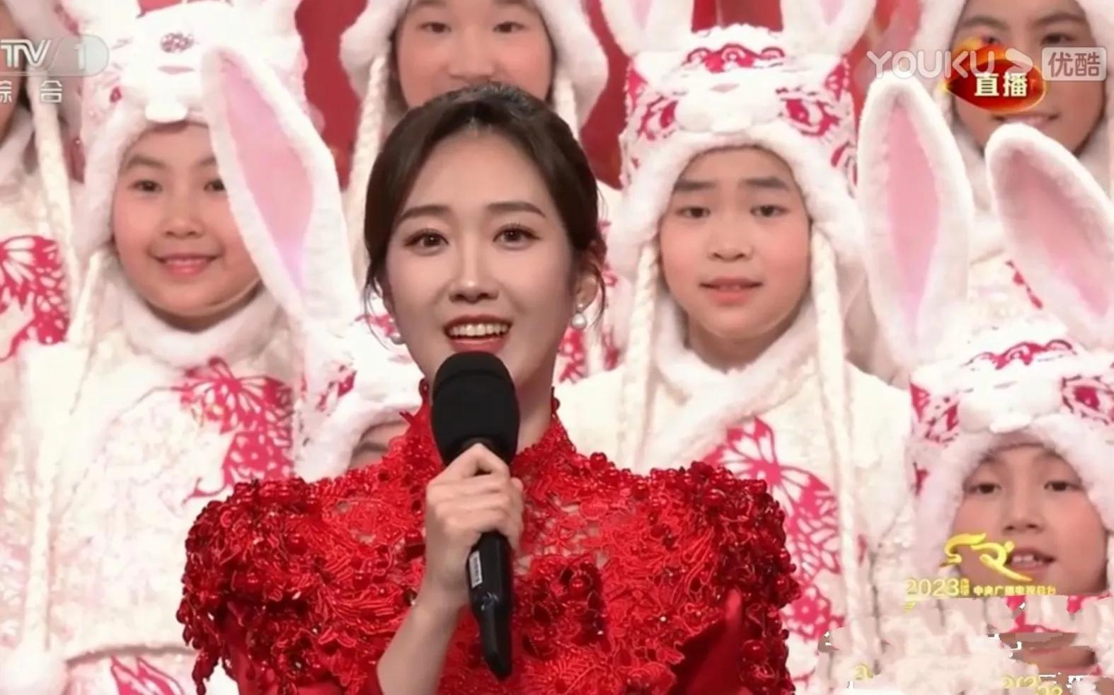 春晚主持人王嘉宁简历资料,春晚新面孔主持人王嘉宁