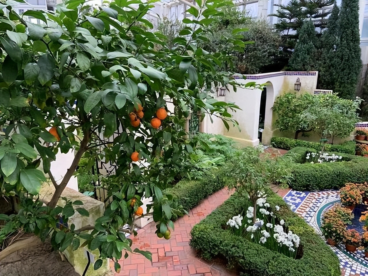 庭院种植满树花好不好风水,农村小院栽什么树旺宅