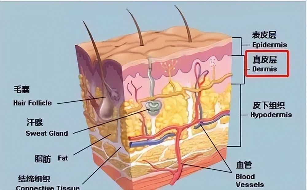 我终于鼓起勇气,打水光针有多痛苦