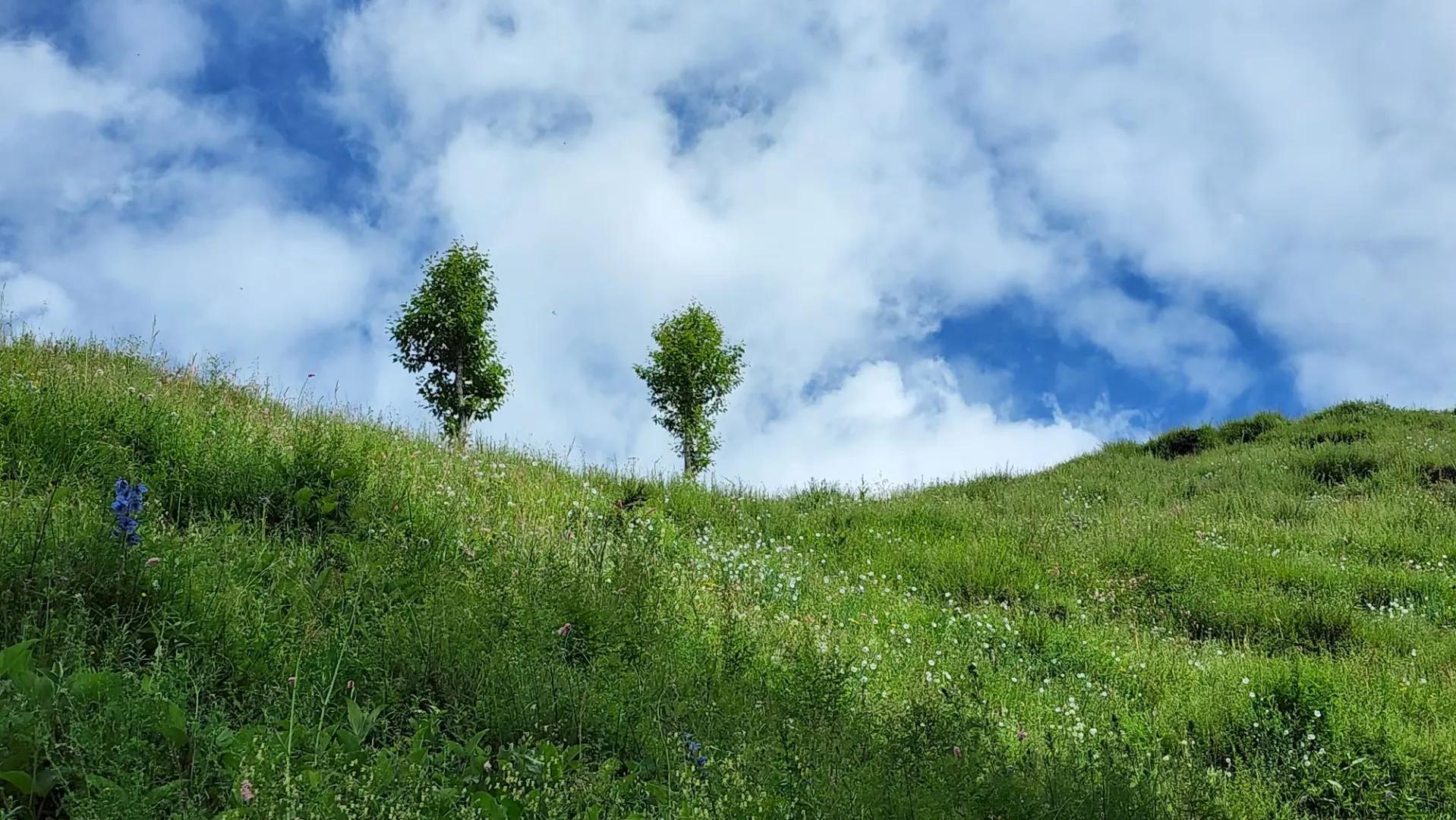 成都至青海大环线自驾游最佳路线,成都自驾青海湖最佳路线图
