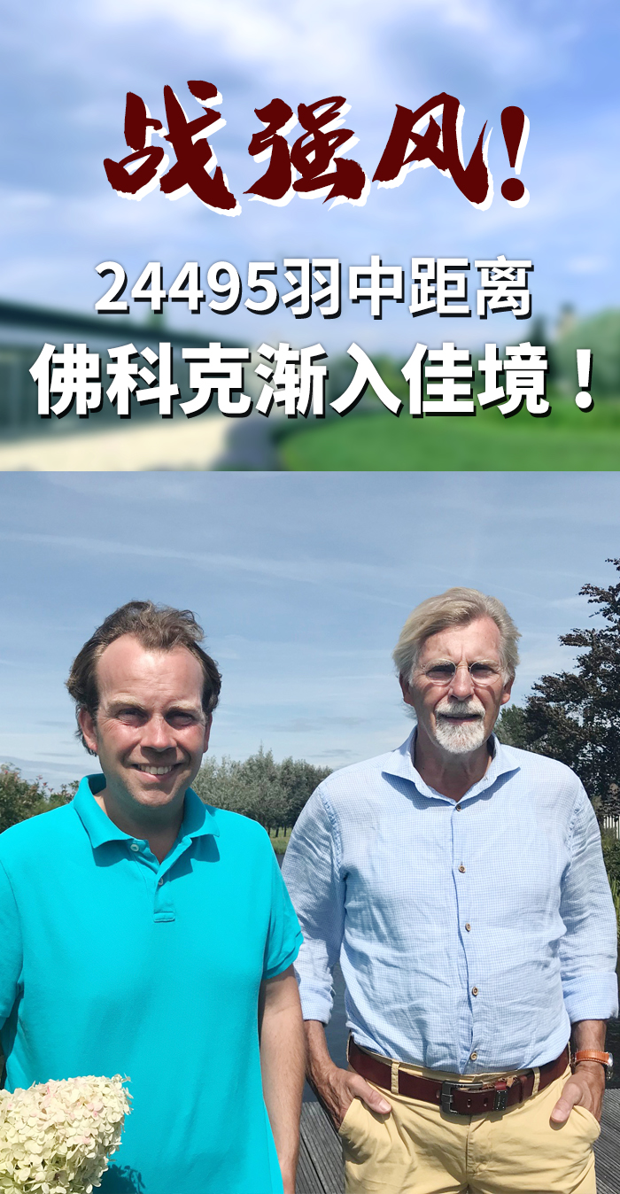 佛科克大名鸽,欧洲赛鸽重大赛事