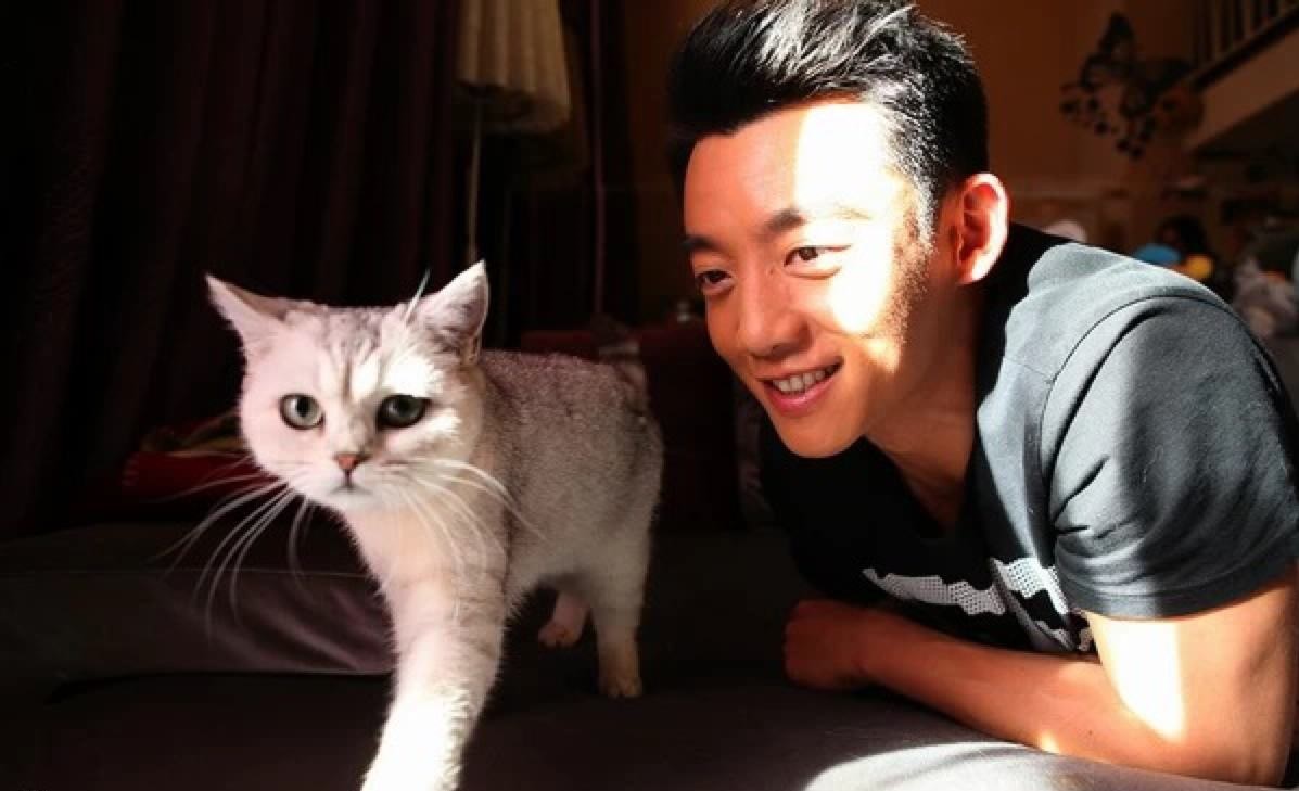 郑恺为什么被称为广告小王子,郑恺小王子