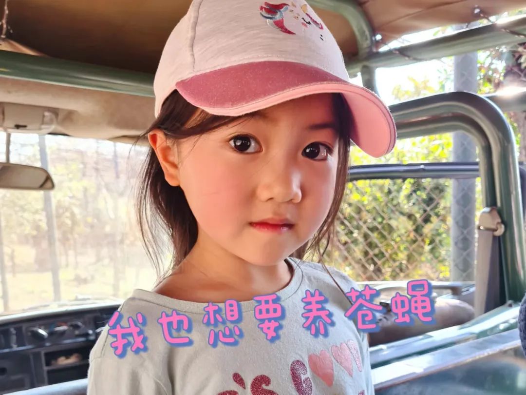 宝宝语言能力培养绘本,绘本提高语言表达能力