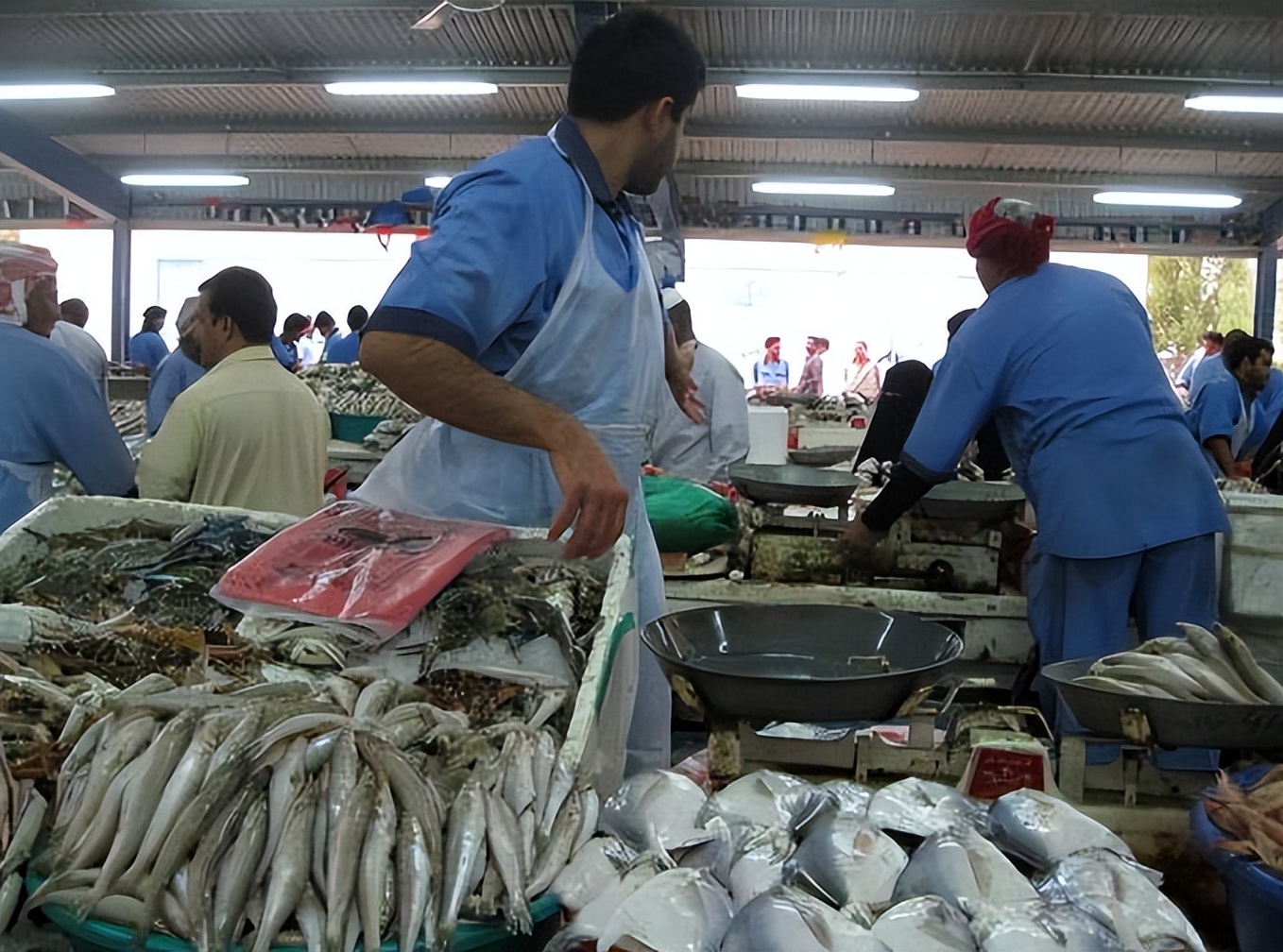 “淫魔部长”张宗海：2万买女学生*夜初**，随身带“三宝”方便办事