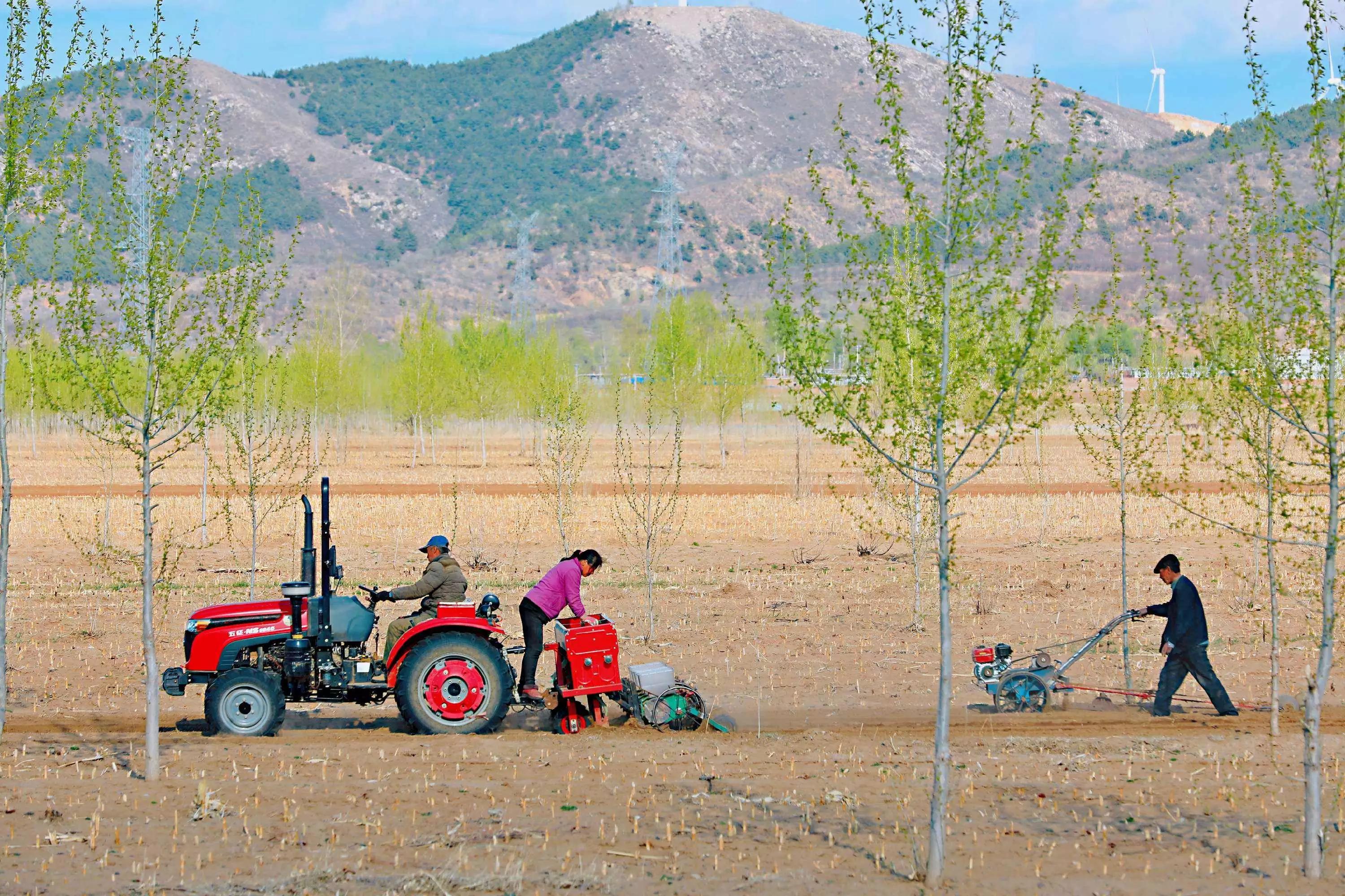 五律初冬雨,二十四节气谷雨五律
