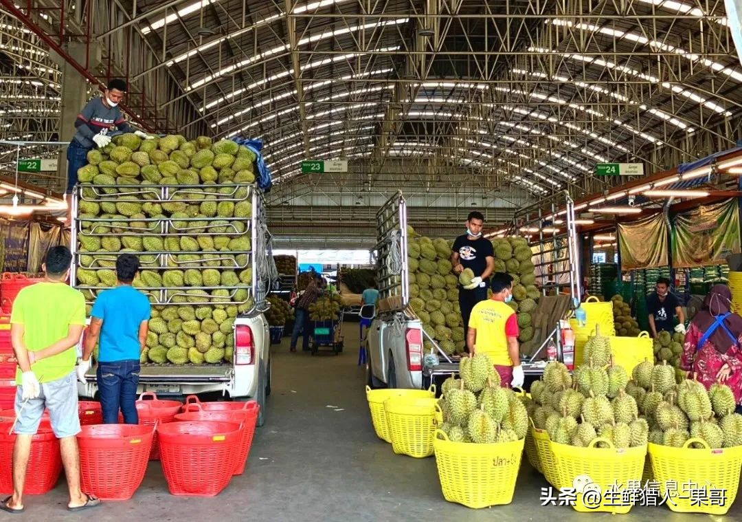 中国十大果蔬批发市场,全国十大蔬果批发市场