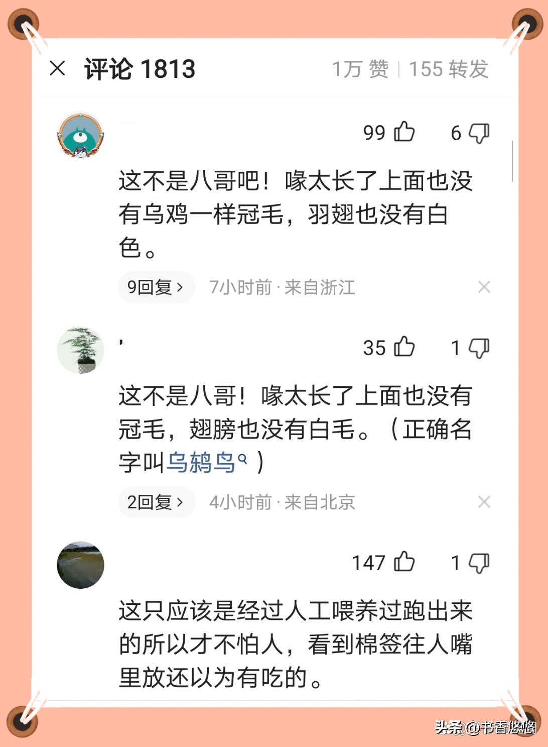 一只八哥飞来“插队”核检,一只八哥飞来插队