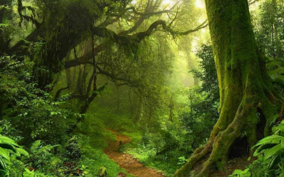 如果你突然被蛇吞下，能否划开蛇肚出逃？科学家作死实验走进蛇窝