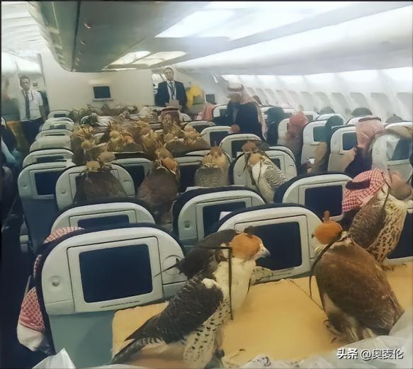 最近几年世界杯战况分析,为什么世界杯都是足球比赛