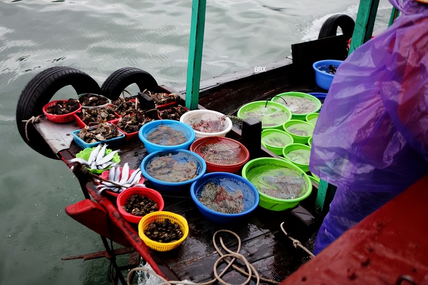 越南下龙，我在船上买海鲜