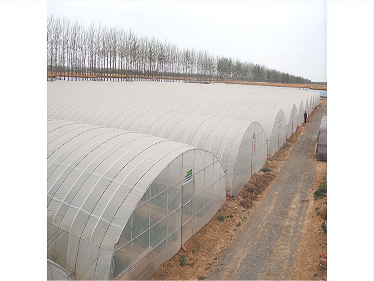 江西物联网智能温室大棚造价表,三门峡智能温室大棚造价多少钱