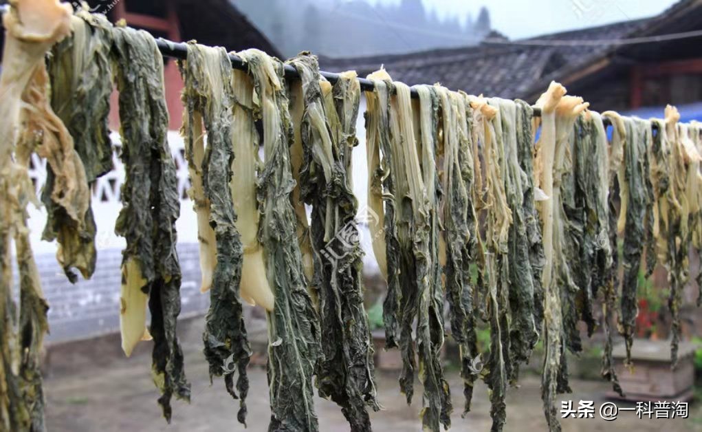 世界极寒奥伊米亚康最低气温,270去俄罗斯的奥伊米亚康极寒之地