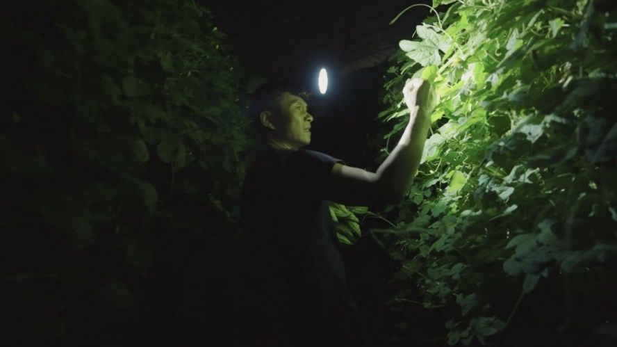 乡村振兴录电影,首部乡村振兴纪录电影