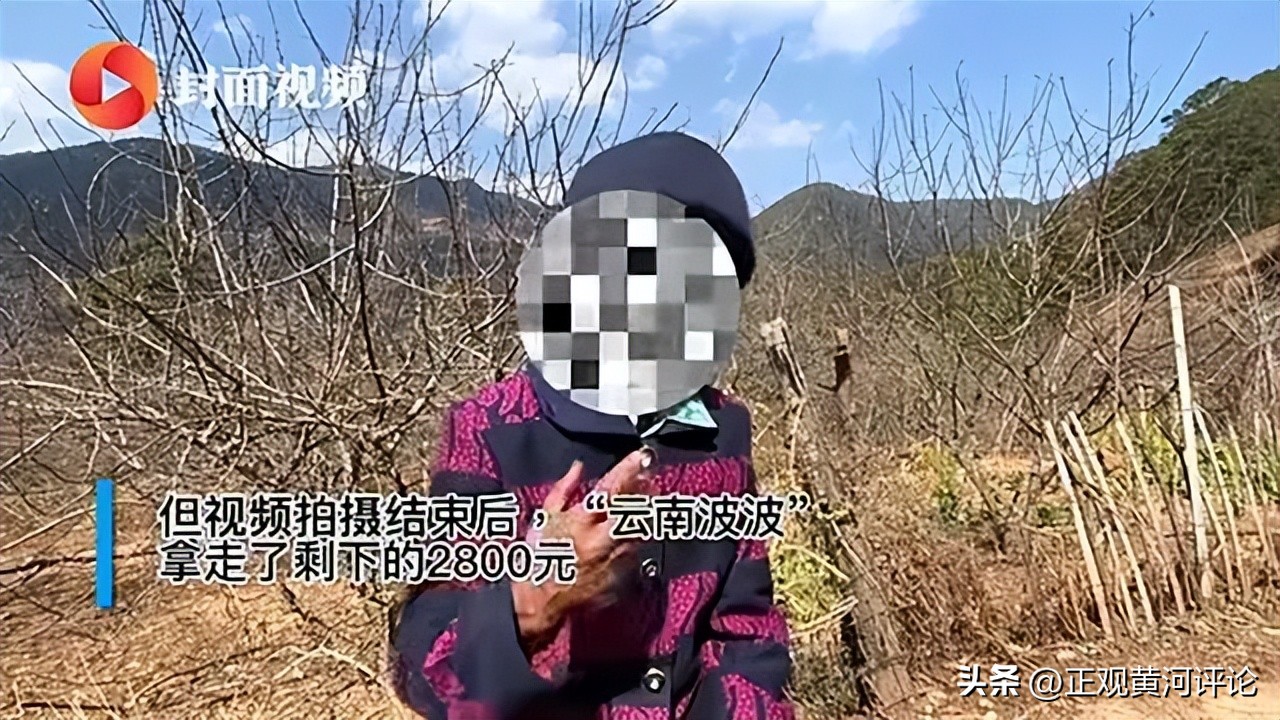 摆拍虚假善举,捐款作假网红