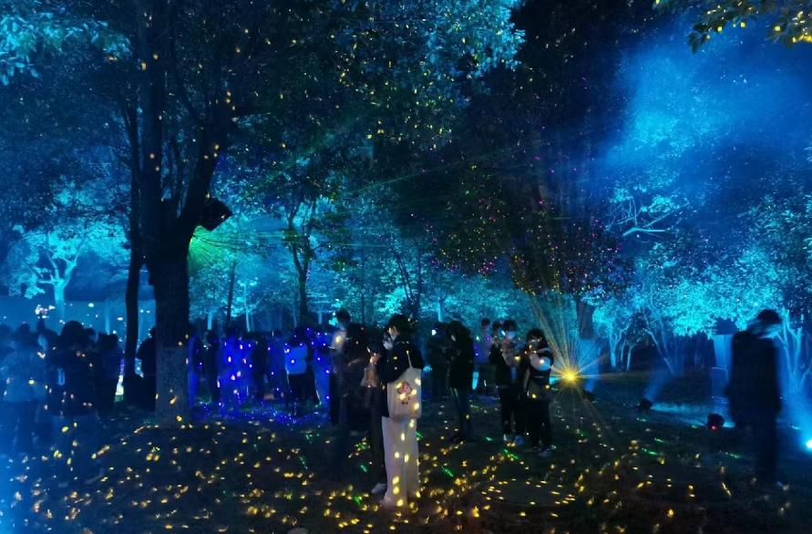 80000万盏霓虹彩灯！浪漫花海、童话世界、打铁花……一起来开启光与影的奇幻之旅吧！