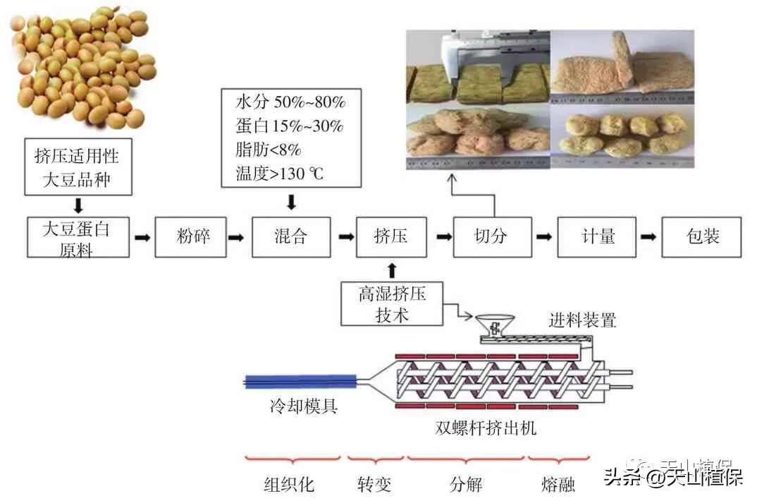 大豆全产业加工研究进展详情,大豆加工什么最有前途