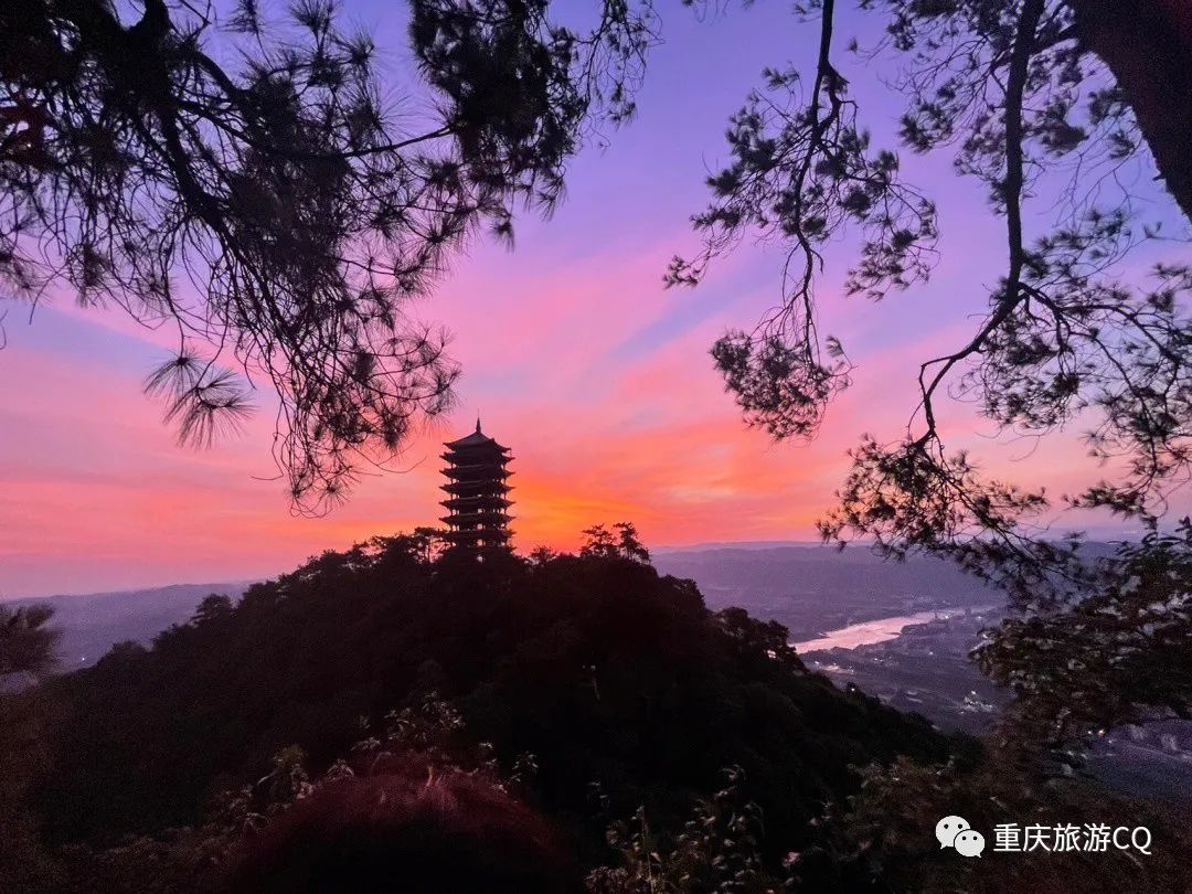 冬日游缙云山,缙云山冬日一日游详细攻略