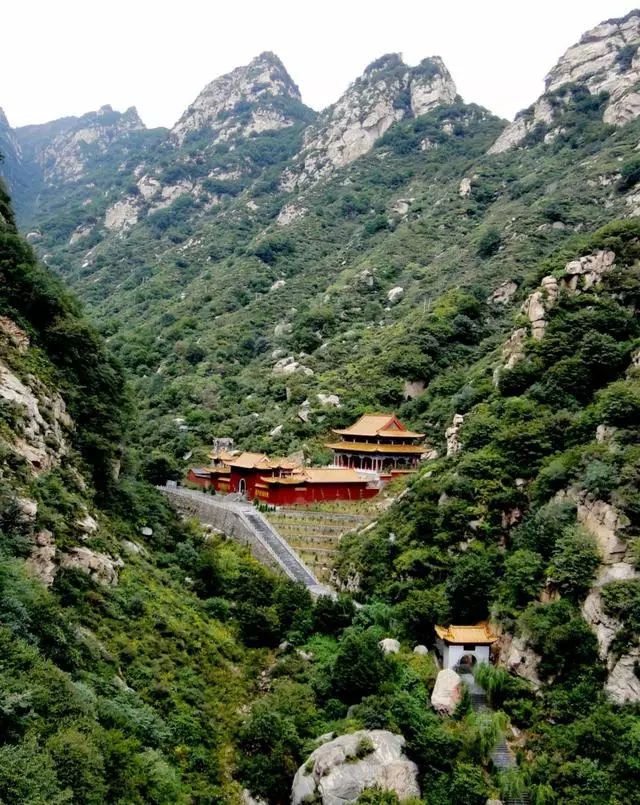 享受阳光享受大自然天然氧吧,值得一去的天然森林氧吧